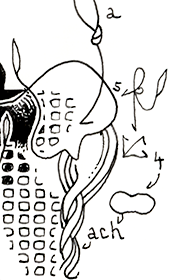 Hannes Kater Detail einer Zeichnung 2026