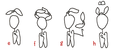 Grammatik-Studien: Hannes Katers Darsteller *15 Protagonist mit *16 Knoten – EInträge e bis h – nicht ganz dicht schwebend, zwei Knoten, Arm mit Knoten, mit großem B