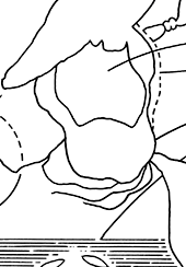 Hannes Kater  Detail einer Tageszeichnung, 2021