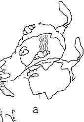 Hannes Kater  Detail einer Tageszeichnung, 2021