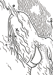 Hannes Kater  Detail einer Tageszeichnung, 2021