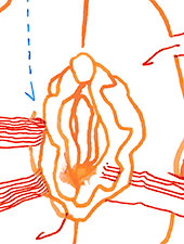 Hannes Kater  Detail einer Tageszeichnung auf Instagram, 2021