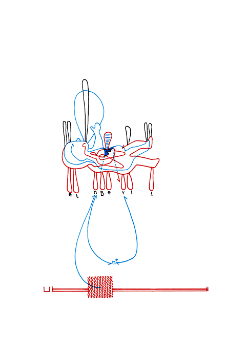Tageszeichnung f&uuml;r den 08.01.2010