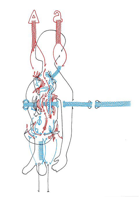 Tageszeichnung f&uuml;r den 01.07.2009