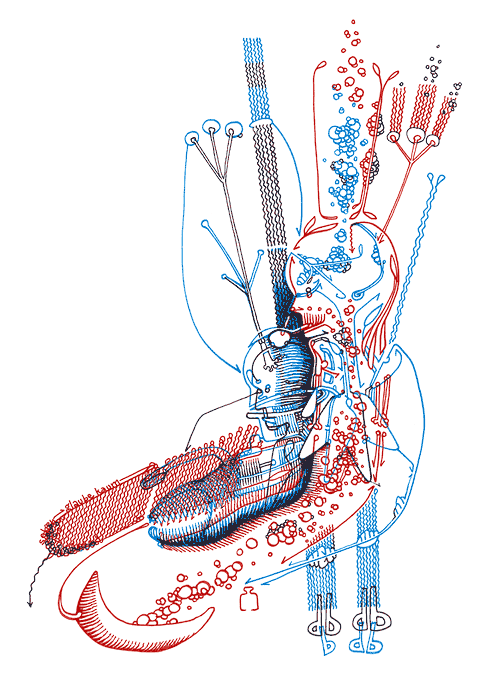 Tageszeichnung f&uuml;r den 26.07.2009