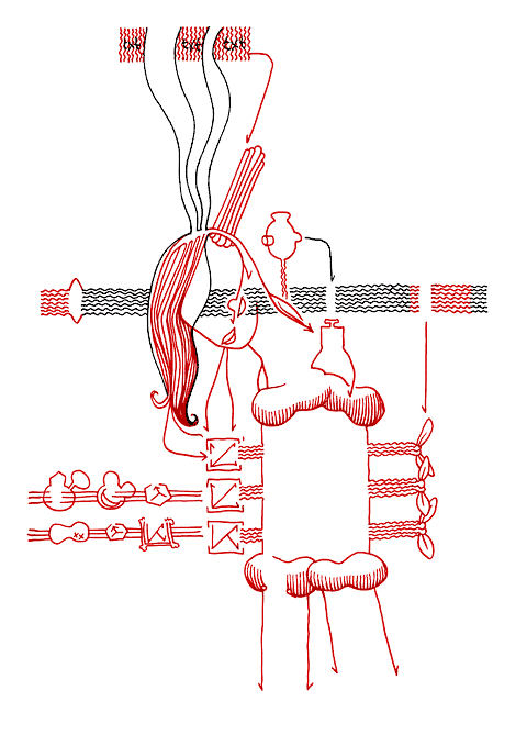 Tageszeichnung f&uuml;r den 09.02.2009