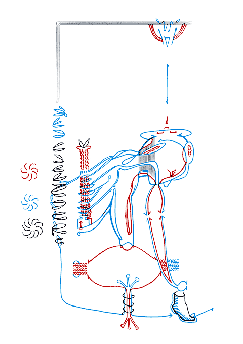 Tageszeichnung f&uuml;r den 17.02.2009