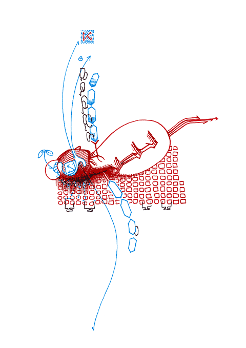 Tageszeichnung f&uuml;r den 19.02.2009