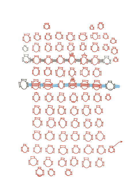 Hannes Kater - Studienblatt_2 zu Darsteller Nr. 2 'Herz'