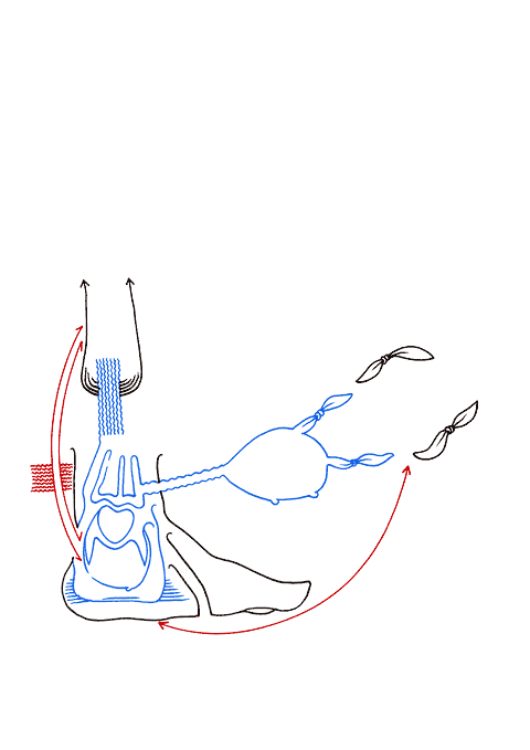 Hannes Kater - Zeichnung f&uuml;r den 02-04-2007
