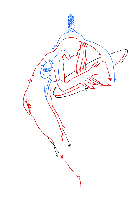 Hannes Kater - Tageszeichnung f&uuml;r den 10-12-2006