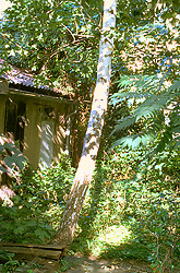 Schuppen der Villa Minimo in Hannover - Foto von Hannes Kater